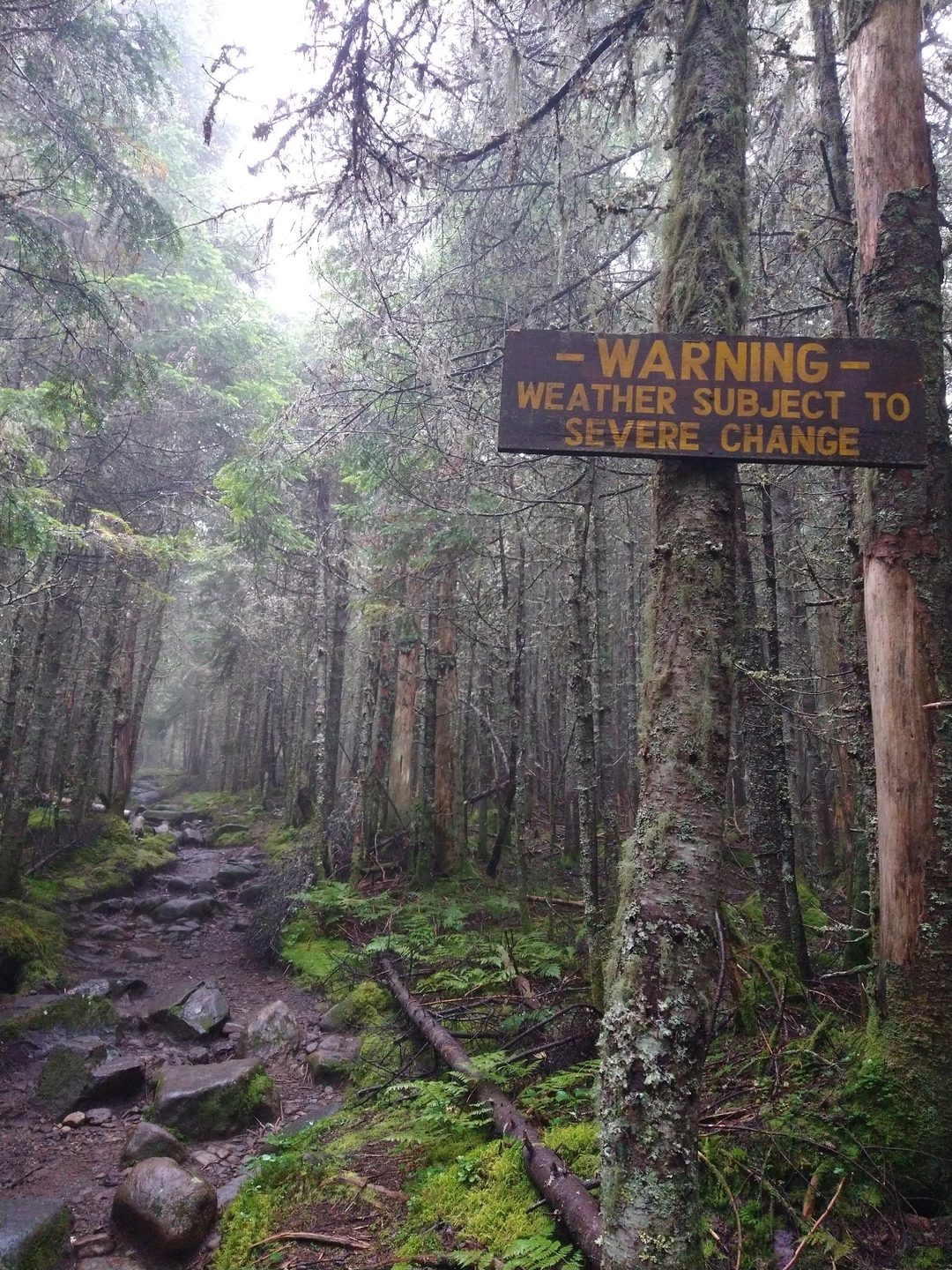 A trail sign in a mossy forest reading Warning — weather subject to severe change