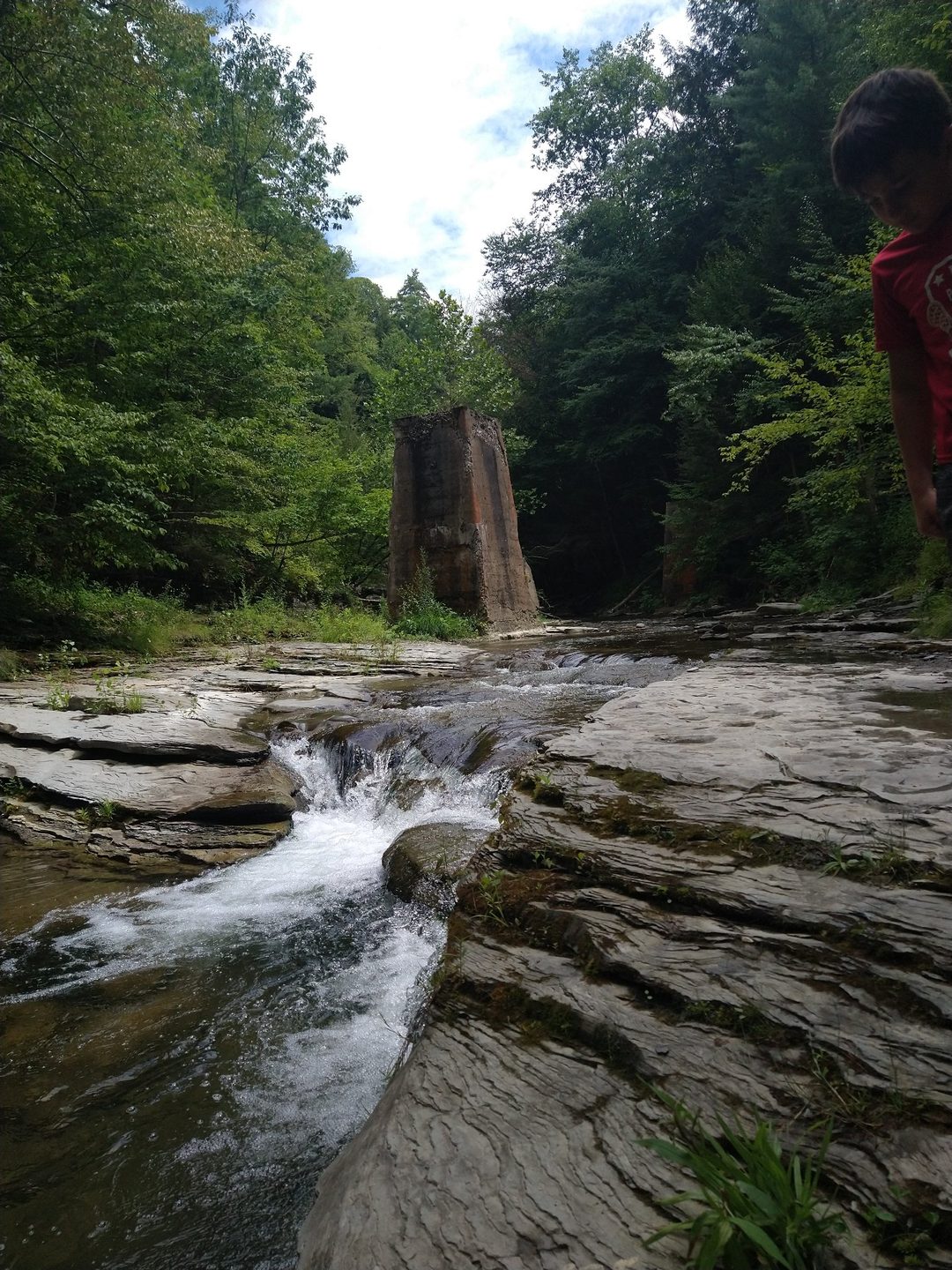 A small waterfall flowing over layered rock in a green forest gorge